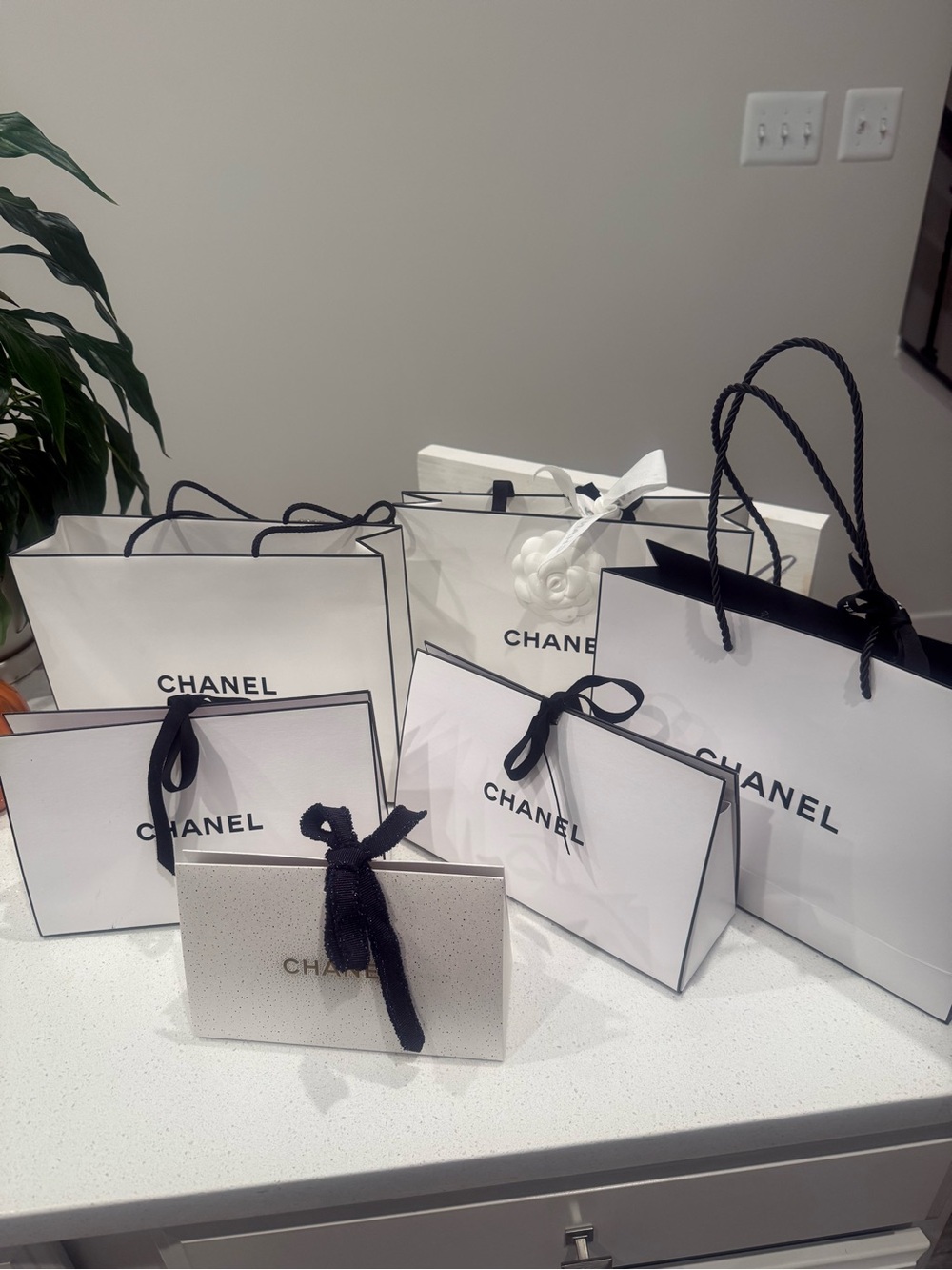 CHANEL White and Black Branded Gift Bag Assortment